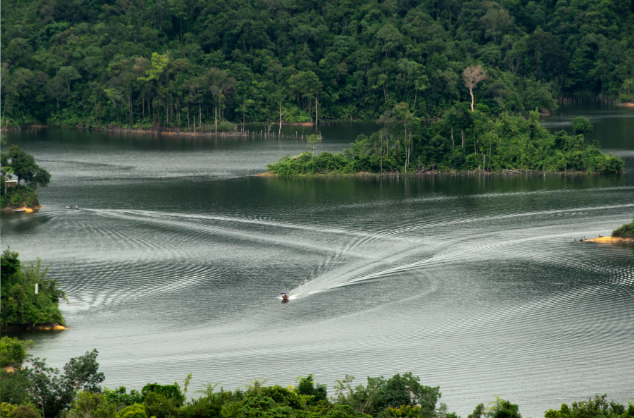 A dam in the Borneo rainforest