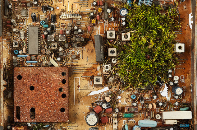A collection of found objects covered with mosses