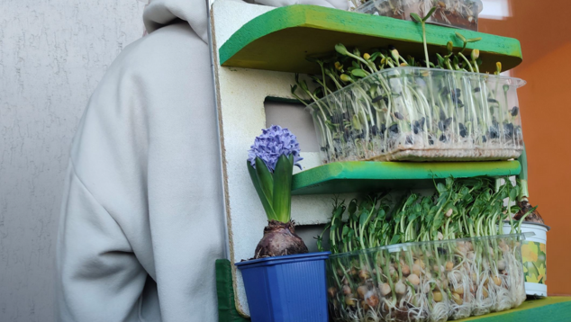 Someone holding growing herbs, her face concealed by the herbs in their carry case.