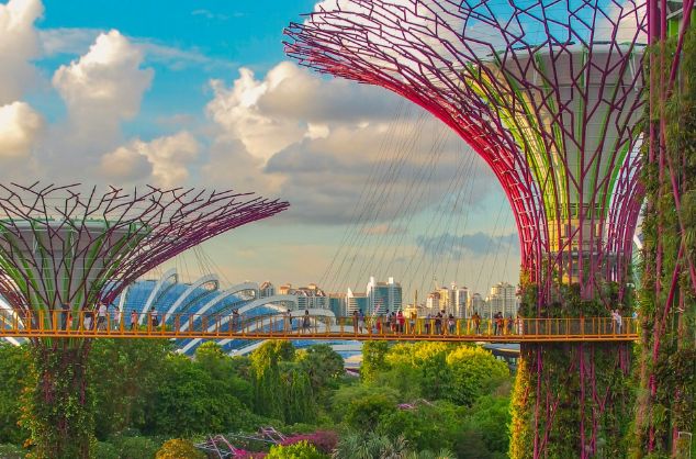 People cross a bridge between the tree sculptures in the Supertree Grove in Singapore.