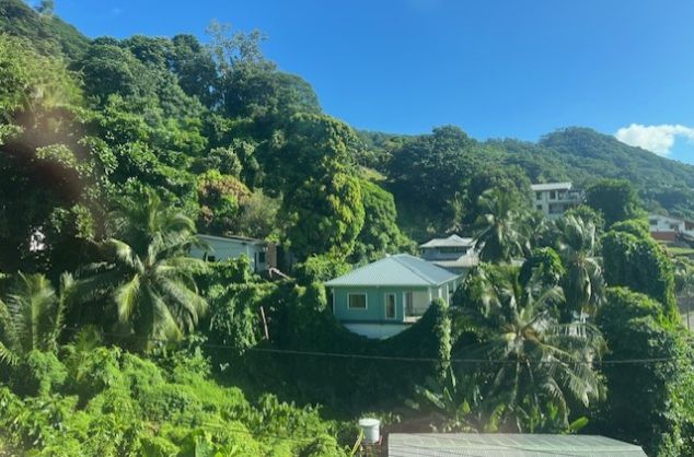 Houses nestled in amongst trees in the hilly and green landscape of the Seychelles