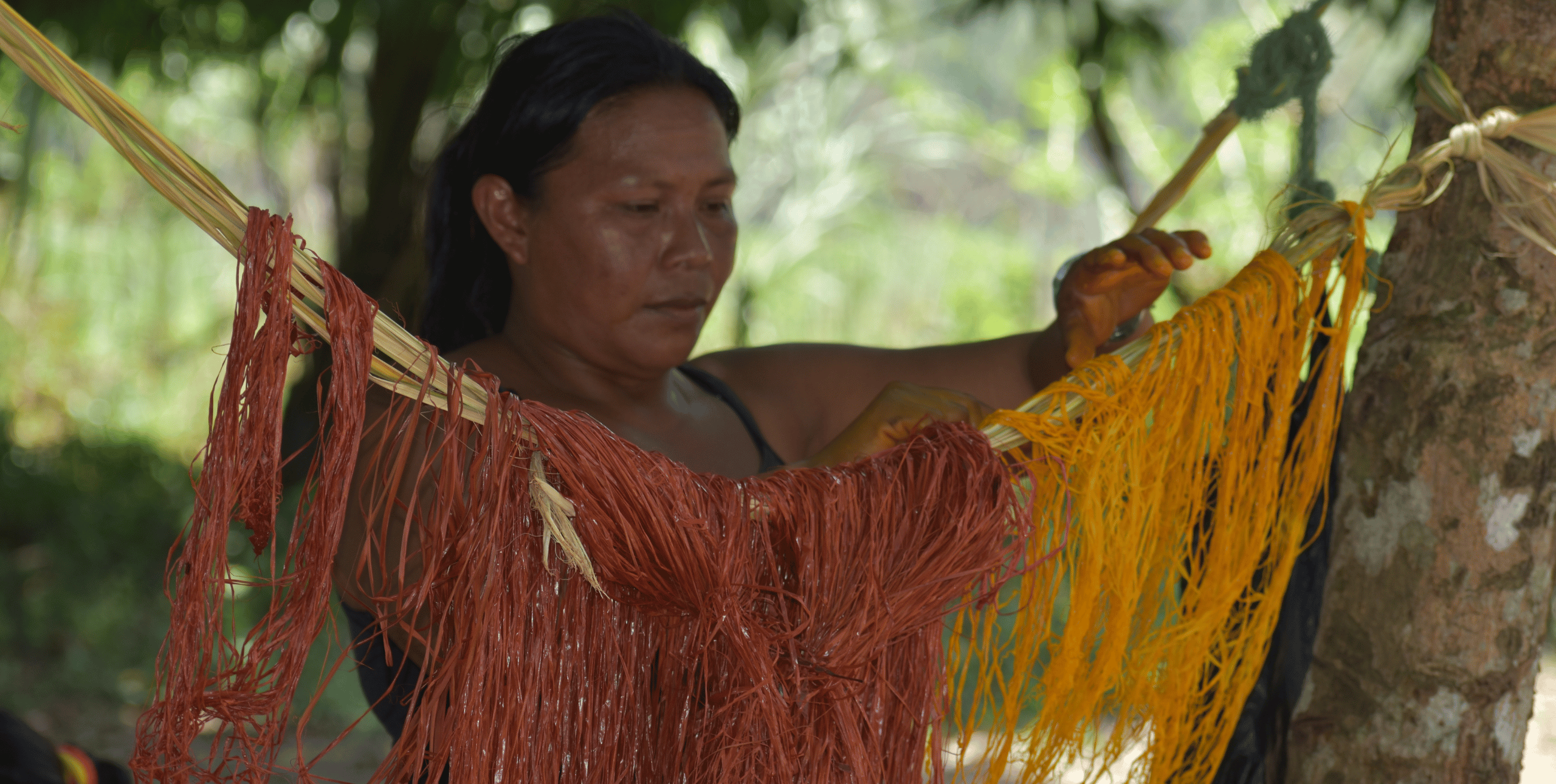 A woman works with fabric which is hanging from a tree suspended on a string.