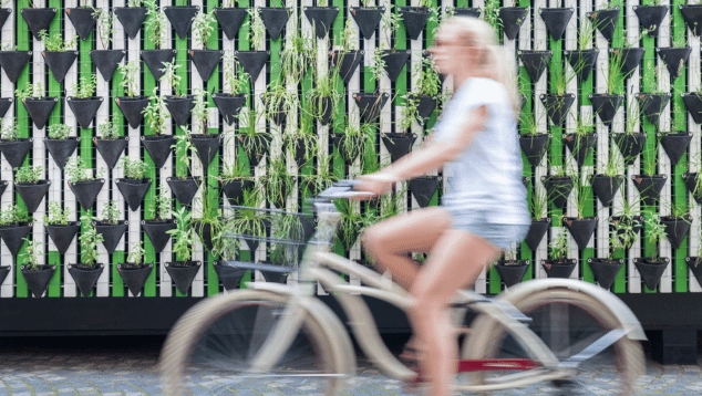 A woman on a bike rides past a wall covered in hanging planters holding plants.