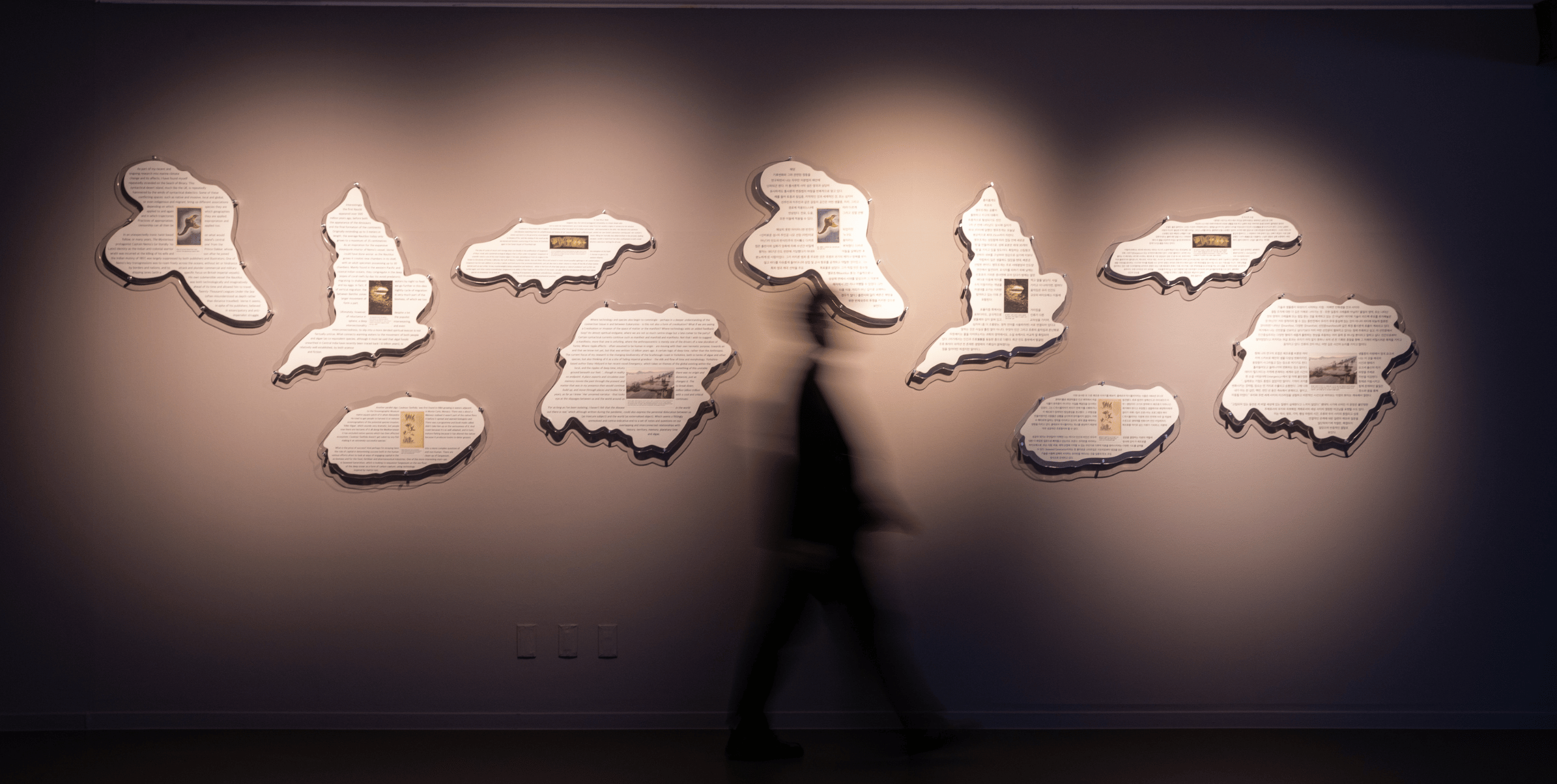 The wall of an exhibition space, with island shaped pieces hanging on it. The blurred figure of a person walks in front of the display.