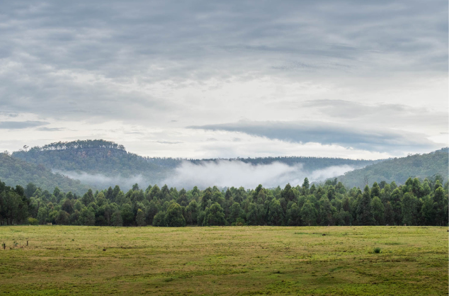 View outside of green trees and hills.