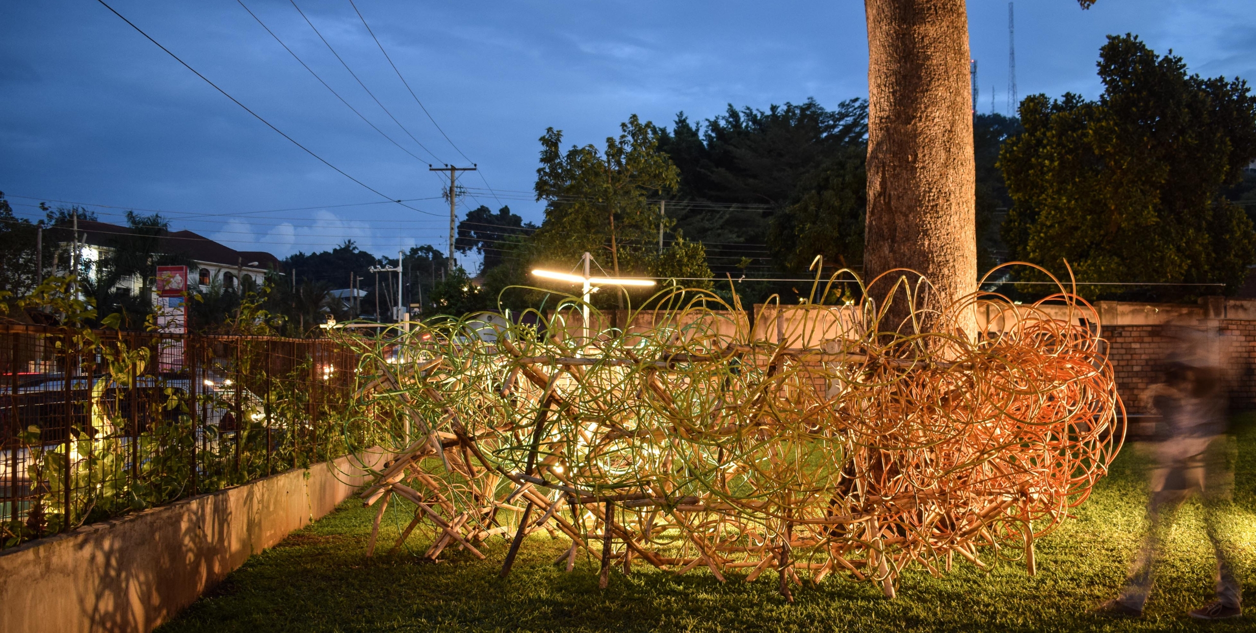 A glowing outdoor sculpture made of curved bamboois illuminated under a large tree at dusk.