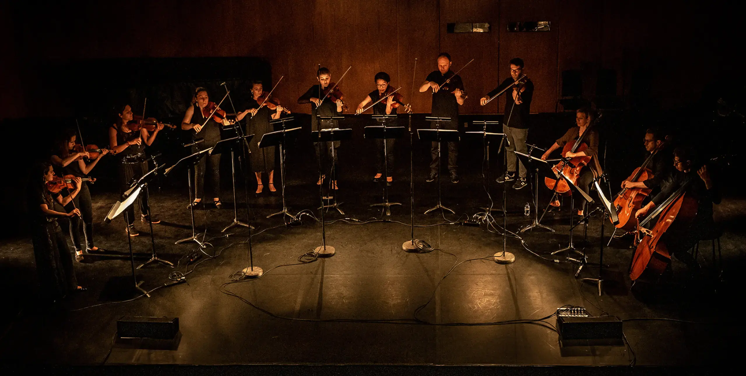 A strings ensemble perform in a semi-circle on a dimly lit stage.