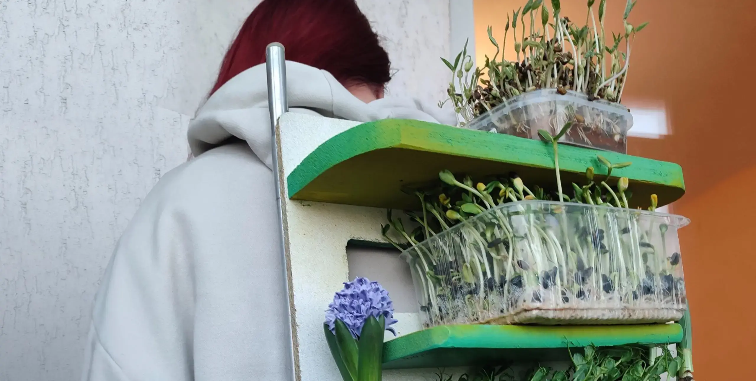 Someone holding growing herbs, her face concealed by the herbs in their carry case.