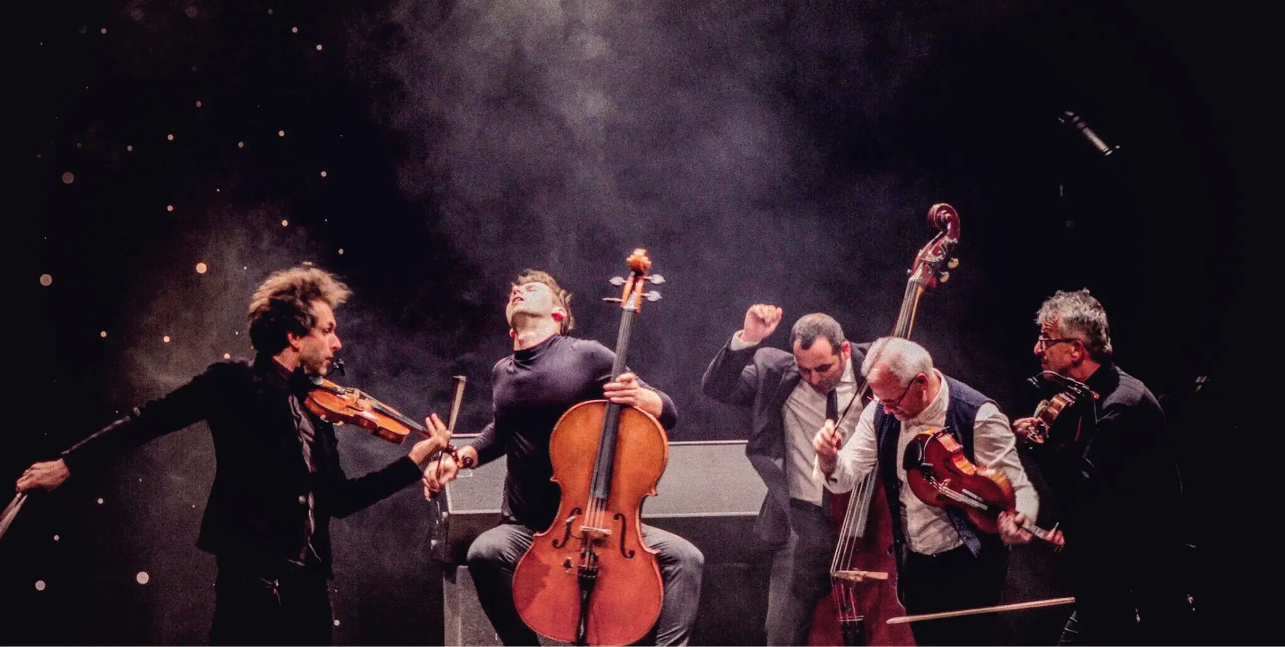 Musicians with stringed instruments perform energetically