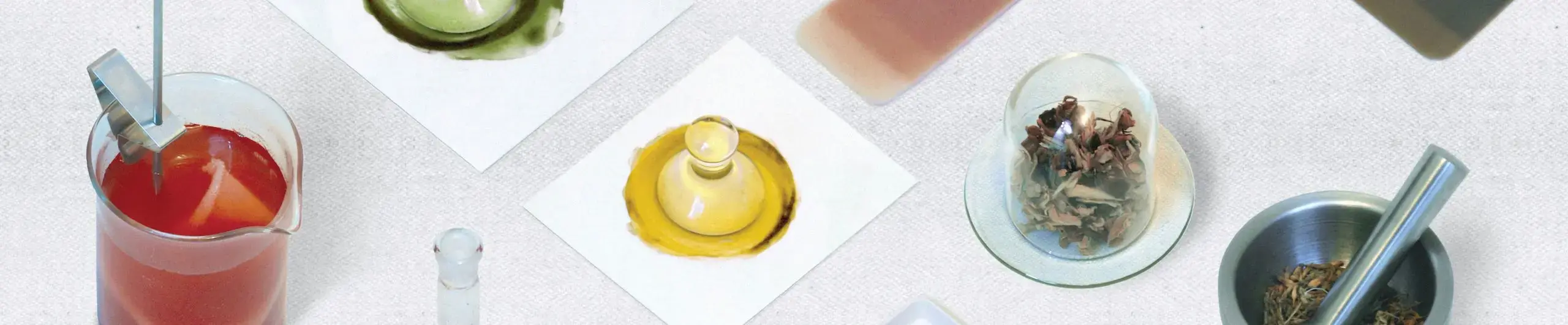 colourful liquids in different lab containers