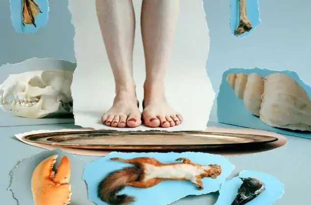 A surreal photo collage scene