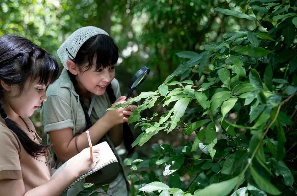 Two children study a plant and write in a book