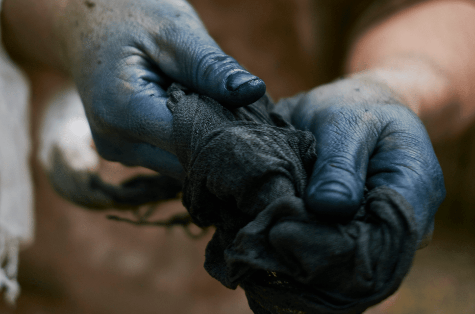 A close up of a pair of hands wring out a dark blue dye-soaked rag. The fingers and thumb are heavily coloured by the dye.